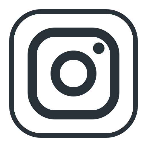 icon Instagram cinza