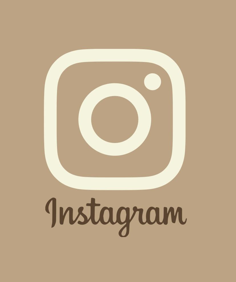 icon Instagram fundo marrom