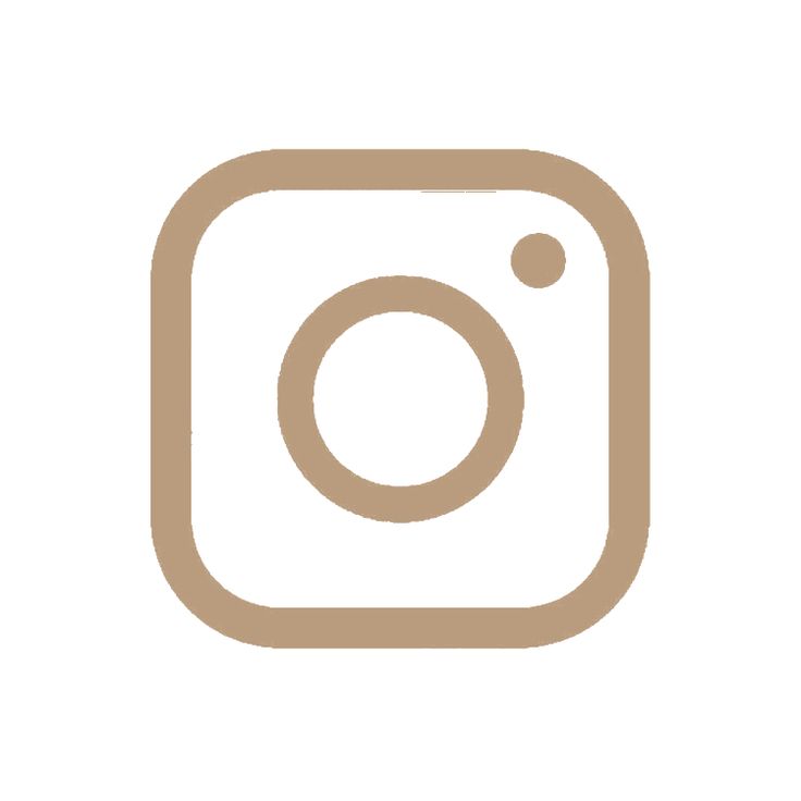 icon Instagram linhas marron verde